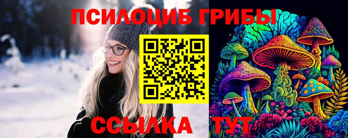 Галлюциногенные грибы мухоморы  Вход с VPN  Камышлов 